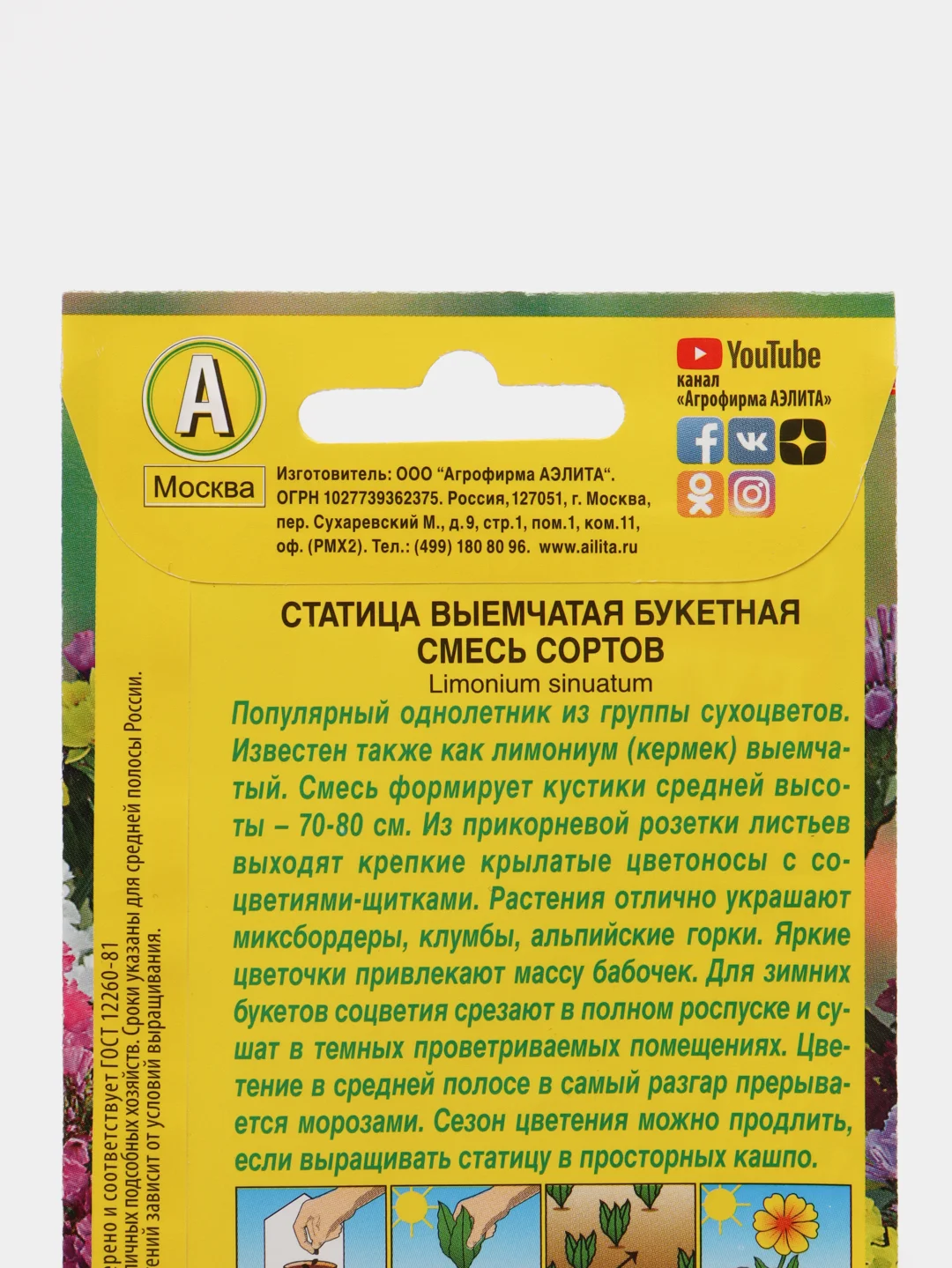 Статица "Букетная", семена цветов