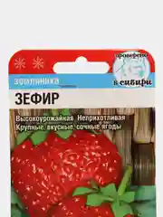 Земляника "Зефир"(семена)
