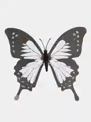 Интерьерные 3D бабочки наклейки на магните 12 шт