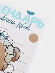 Слоновая кость календарь прорезывания зубов