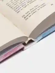 Книга Сила материнской любви. Самые сильные молитвы, обереги и заговоры