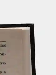 Книга Предтечи зверя. Тьма. Леонида Подвойская. Современный детектив