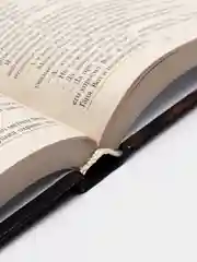 Книга Предтечи зверя. Тьма. Леонида Подвойская. Современный детектив