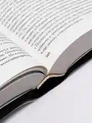 Книга "Миф и литература древности", Ольга Фрейденберг