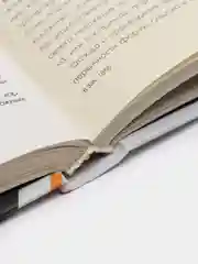 Книга "Казимир Малевич. Восхождение на крест судьбы". Биография