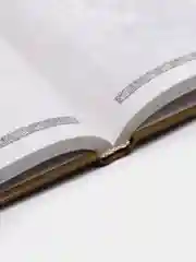 Книга Китайская пейзажная лирика, сборник стихов