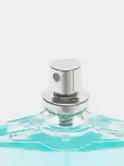 Туалетная вода мужская Absolute Aqua (Абсолют Аква), 100 мл