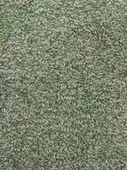 Оливковый полотенце махровое, банное, кухонное, пляжное, хлопок, разные цвета и размеры