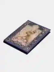 Индиго книжка записная "Кошечки", вырубка, обложка плотный картон, 9 х 13 см, 112 страниц