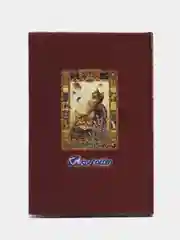 Коричневый книжка записная "Кошечки", вырубка, обложка плотный картон, 9 х 13 см, 112 страниц