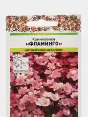 Семена цветов Камнеломка "Фламинго"