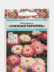 Семена цветов Маргаритка "Снежная королева"