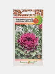 Семена Капуста декоративная "Малиновая шанни пот"