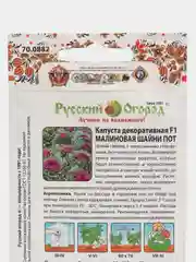 Семена Капуста декоративная "Малиновая шанни пот"