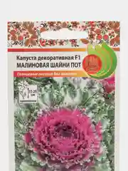 Семена Капуста декоративная "Малиновая шанни пот"