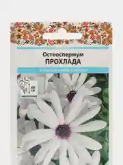 Семена цветов Остеоспермум "Прохлада"