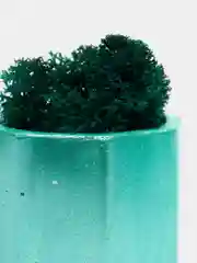 Бирюзовый стаканчики с мхом