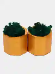 Золотой стаканчики с мхом