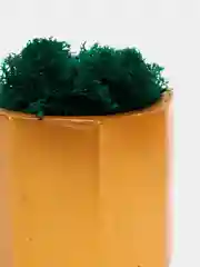 Золотой стаканчики с мхом