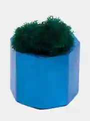 Лазурный стаканчики с мхом