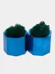 Лазурный стаканчики с мхом