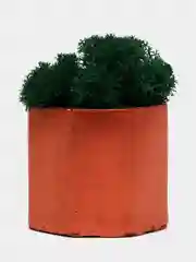 Медный стаканчики с мхом
