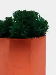 Медный стаканчики с мхом