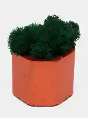 Медный стаканчики с мхом