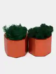 Медный стаканчики с мхом