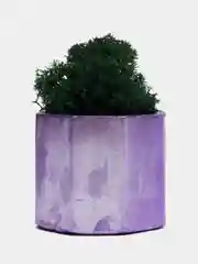 Серебряный стаканчики с мхом