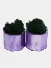 Серебряный стаканчики с мхом