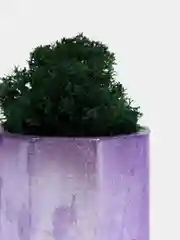 Серебряный стаканчики с мхом