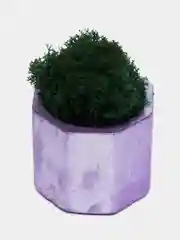 Серебряный стаканчики с мхом