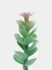 Аметистовый растение "Суккулент искусственный" для аквариума