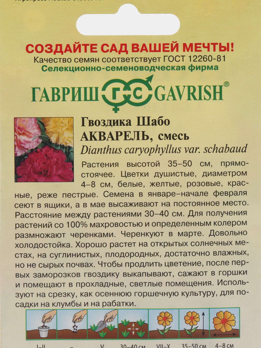 Гвоздика Шабо Акварель 0,05г
