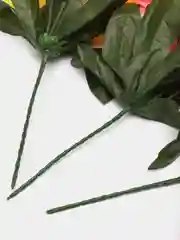 Карамельный искусственные цветы. Климатисы (букет). Композиция. Высота: 210 мм