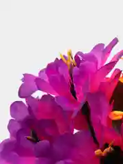 Горчичный искусственные цветы. Климатисы (букет). Композиция. Высота: 210 мм