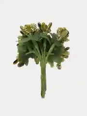 Лесной зеленый букет тычинок, с сахарными вставками