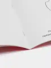 Алый прописи для детей 6-7 лет, 20 страниц
