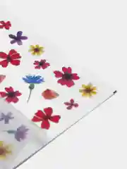 Зеленый слайдеры для дизайна ногтей
