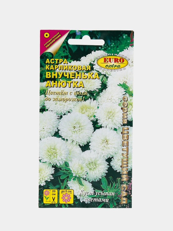 Семена цветов Астра "Внученька Анютка"