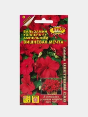 Бальзамин "Вишневая мечта", семена, цветы