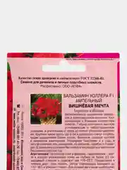 Бальзамин "Вишневая мечта", семена, цветы