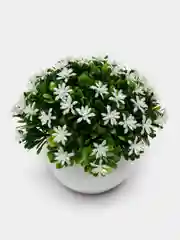 Белый искусственные цветы, искусственная зелень в горшке, кашпо