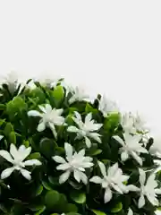 Белый искусственные цветы, искусственная зелень в горшке, кашпо