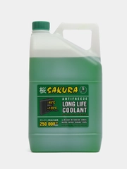 Антифриз Sakura "Green" -45С, G12+, зеленый, для Nissan, Mitsubishi, Honda, Mazda