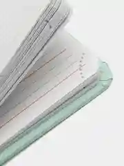 Ежедневник недатированный МАЛЫЙ ФОРМАТ 100х150мм А6 BRAUBERG Profile балакрон, 136л,мятный