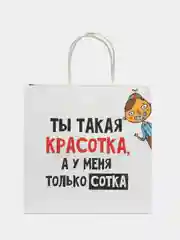 Вишнёвый пакет подарочный, с приколами, 22*22*11 см