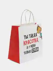 Вишнёвый пакет подарочный, с приколами, 22*22*11 см