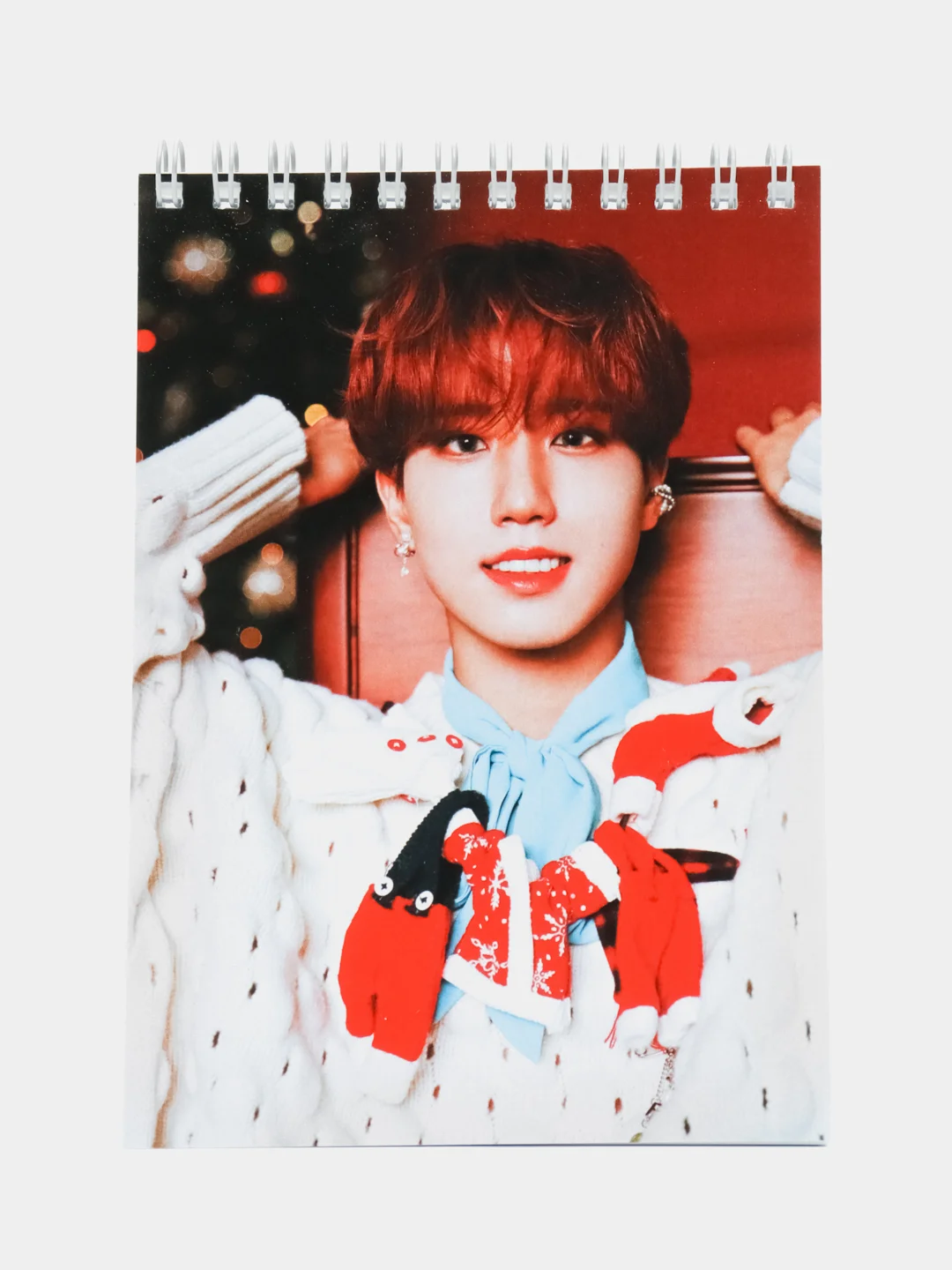Голубой блокнот KPOP Stray Kids
